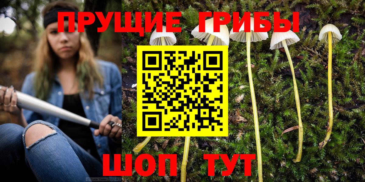 Галлюциногенные грибы ЛСД  Вход с VPN  Тула  Галлюциногенные грибы Psilocybine cubensis 